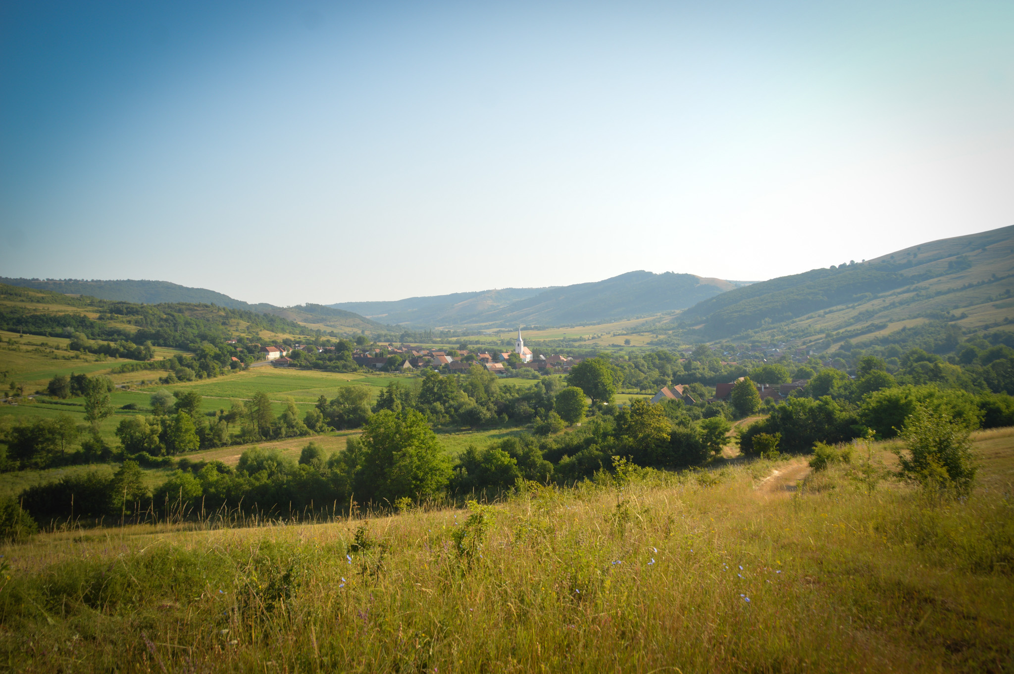 abasfalva_pavilon (4).jpg